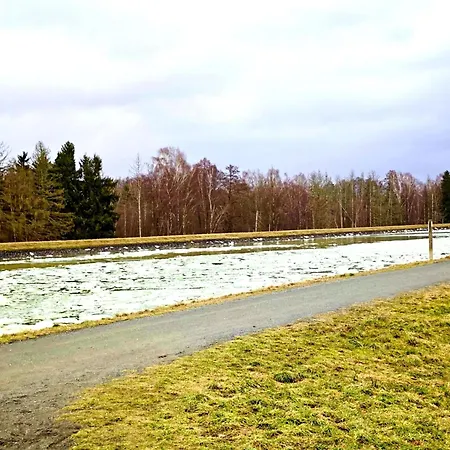 Bernsteinsee And Ferien Forest شقة
